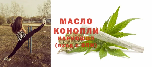 дмт Новодвинск
