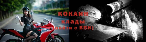 дмт Новодвинск