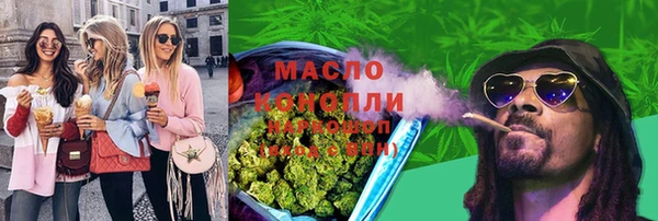 дмт Новодвинск