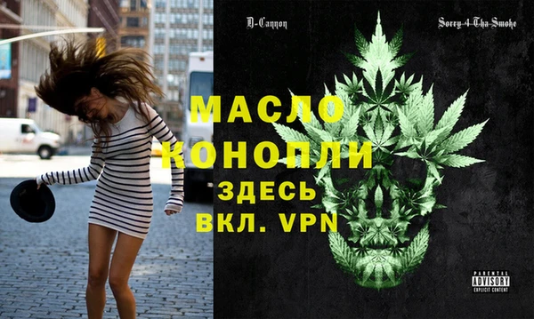 дмт Новодвинск
