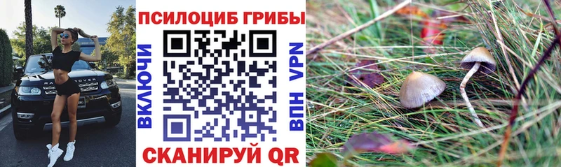 Галлюциногенные грибы MAGIC MUSHROOMS маркетплейс формула Рославль